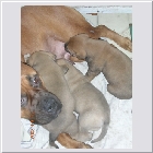 DSCN5209.jpg