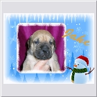 DSCN5227.JPG