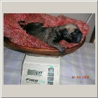 DSCN6153.JPG