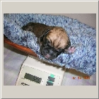 DSCN6161.JPG