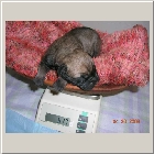 DSCN6165.jpg