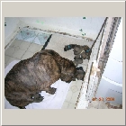 DSCN6167.JPG