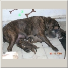 DSCN6221.JPG