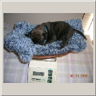 DSCN6225.JPG