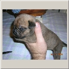 DSCN6233.JPG