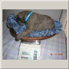 DSCN6319.JPG