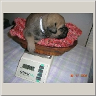 DSCN6337.JPG