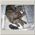 DSCN6376.JPG