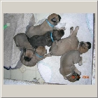 DSCN6391.JPG