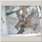 DSCN6467.JPG
