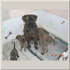 DSCN6501.JPG