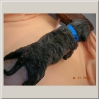 DSCN6509.JPG