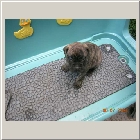 DSCN6615.JPG