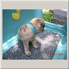 DSCN6627.jpg