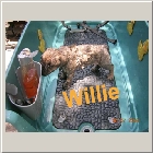 DSCN6630.JPG