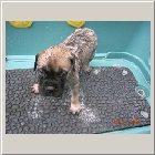 DSCN6639.JPG