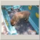 DSCN6656.JPG