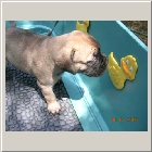 DSCN6674.JPG