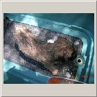 DSCN6675.JPG