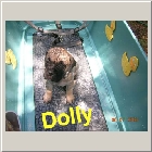 DSCN6676.JPG