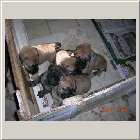 DSCN6687.JPG