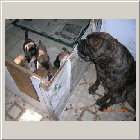 DSCN6691.JPG