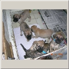 DSCN6720.JPG