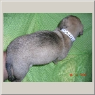 DSCN6758.JPG
