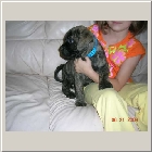 DSCN6849.JPG