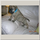 DSCN6866.JPG