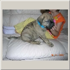 DSCN6867.JPG