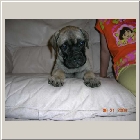 DSCN6887.JPG