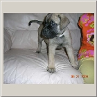 DSCN6888.JPG