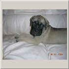 DSCN6898.JPG