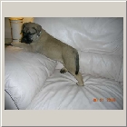 DSCN6906.JPG