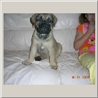 DSCN6908.JPG