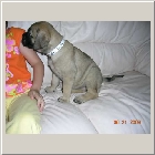 DSCN6942.JPG