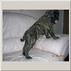 DSCN7073.JPG