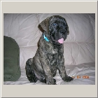 DSCN7076.JPG