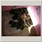 DSCN7533.JPG