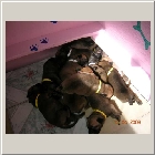 DSCN7536.JPG