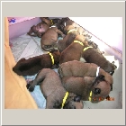 DSCN7565.JPG