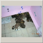 DSCN7649.JPG