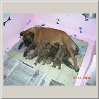 DSCN7727.JPG