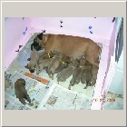DSCN7887.JPG