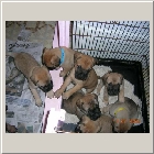 DSCN8223.JPG