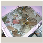 DSCN8225.JPG