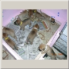 DSCN8393.JPG