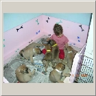 DSCN8410.jpg