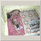 DSCN8694.JPG
